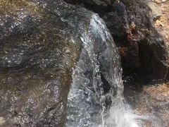 -吉林市朱雀山国家森林公园