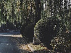 -蒙楼咖啡(清华大学蒙民伟楼店)