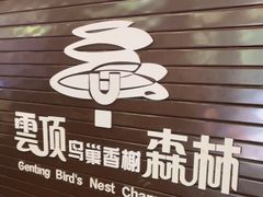 -亚龙湾热带天堂森林公园
