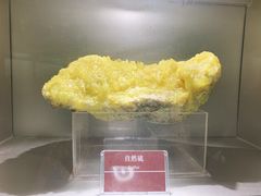 -甘肃地质博物馆