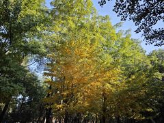 -长白岛森林公园