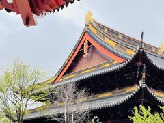 -苏州文庙(姑苏区)