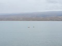 -黑色经典臭豆腐·湖南特产(步行街店)