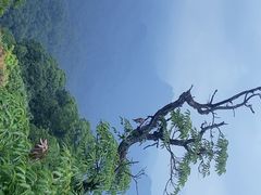 -青城山