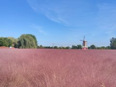 -羊亭河湿地公园