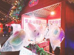 -锦江乐园舞狸花花游园会(夜场专享)