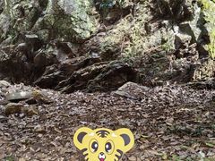 -云碧峰国家森林公园