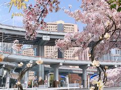 -南浦大桥长途旅游客运站