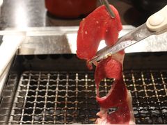 -俺的焼肉(銀座9丁目店)