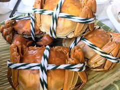 -蟹天蟹地农家菜·阳澄湖大闸蟹(浅水湾店)