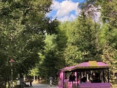 -长白岛森林公园