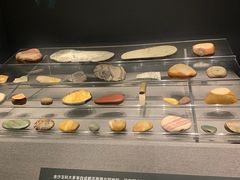 -金沙遗址博物馆