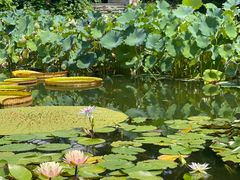 -国家植物园南园