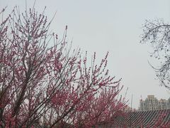 -堤角公园
