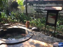 -三亚珠江南田温泉度假区