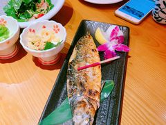 -有喜屋·鲜鸡烧鸟·居酒屋(安龙路店)