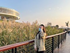 -郑东新区龙湖公共艺术中心