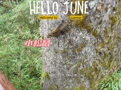 -瓦屋山景区