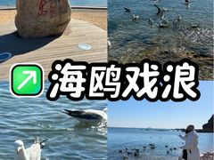 -棒棰岛宾馆景区