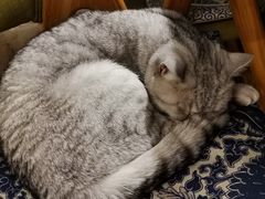 -不舍昼夜咖啡馆