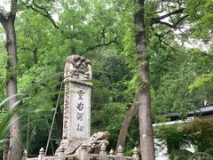 -灵谷景区