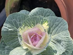 -溪山云境森林音乐餐厅(湖景店)