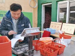 -大自然农场蔬菜草莓采摘园