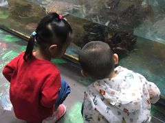 -上海大自然野生昆虫馆(东方明珠·爬宠昆虫探索中心)