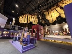 -国家自然博物馆