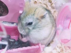 -Miohca缪卡KTV(和平店)