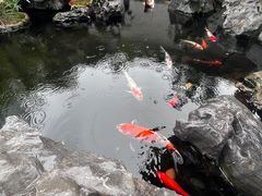 -道南書院·私房菜·早午茶·茶馆