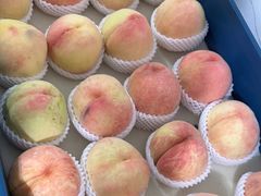-老袁家蜜桃农场·阳山水蜜桃