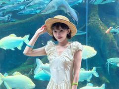 -波塞冬旅游度假区