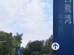 -白鹭湾湿地公园