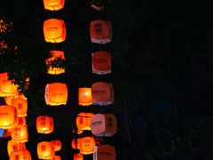 -HUNTING BAR亨霆鸡尾酒馆(越秀淘金店)