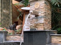 -金隅凤山酒店