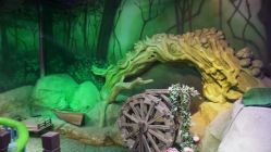 -酷嗒动物文化乐园(cutezoo西溪乐天城店)