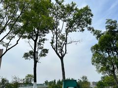 -府河摄影公园