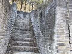 -云岗森林公园