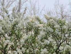 -姜美堂·蒸姜除湿の纤体美颜馆