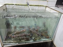 -海盗餐厅