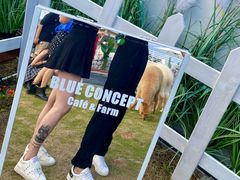 -Blue Concept Cafe&Farm·關於藍