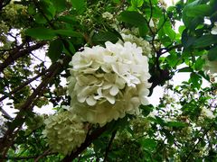 -大龙山(地铁站)