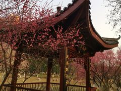 -堤角公园