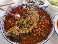 -高坎一品甲鱼庄(两河店)