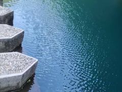 -大奇山国家森林公园