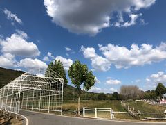 -大连铭湖国际观光牧场