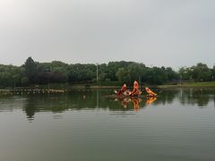 -佘山世茂艾美·御珍轩中餐厅