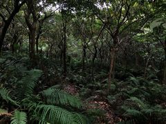 -滴水岩森林公园