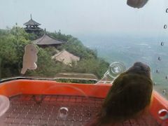 -杭州半山国家森林公园